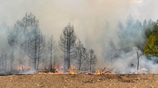 Македонските пламъци настъпват към България