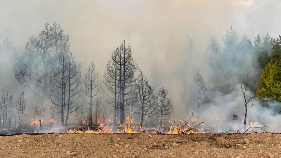 Македонските пламъци настъпват към България | StandartNews.com