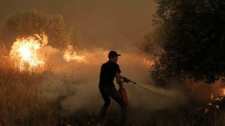 Лоша поличба. Пожарите изпепелиха дърво, символ на Гърция