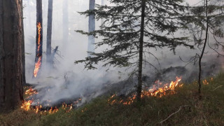 След Рила, пожар пламна и в Родопите