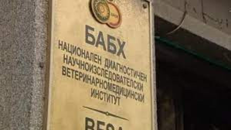БАБХ апелира животновъдите да спазват мерките за биосигурност | StandartNews.com