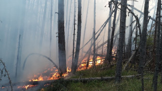 Пожарът над Югово пак пламна