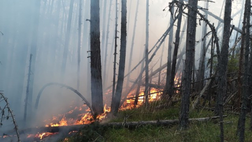 Пожарът над Югово пак пламна | StandartNews.com