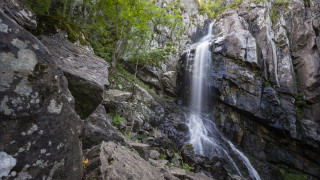 Трагедия. Мъж загина на Боянския водопад