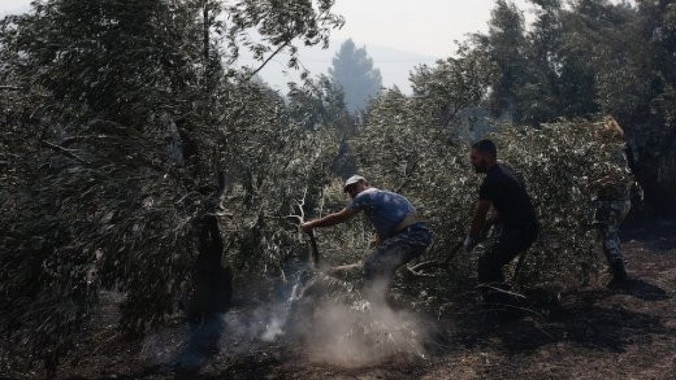 Пак пожар в Гърция, евакуират хора, спират магистрала | StandartNews.com