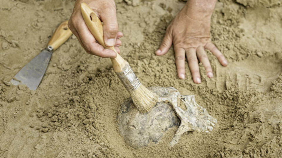Уникално! Откриха скелет от непознат човешки вид | StandartNews.com