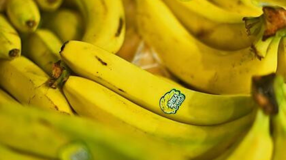 Панацея ли са бананите - диетолог развенчава митове | StandartNews.com