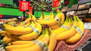 Kaufland предлага био банани, сертифицирани по стандарта Fairtrade