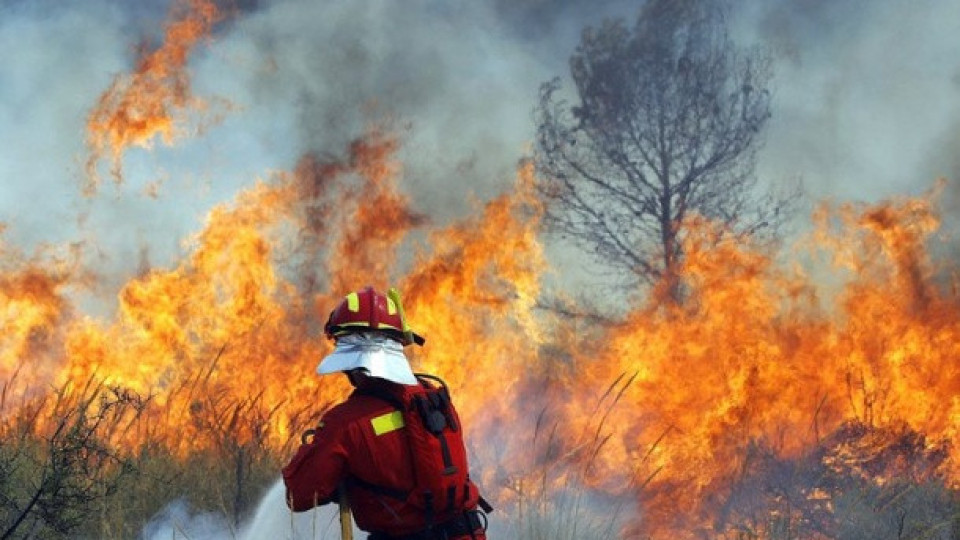 Голям пожар край Варна. Ужасна причина | StandartNews.com