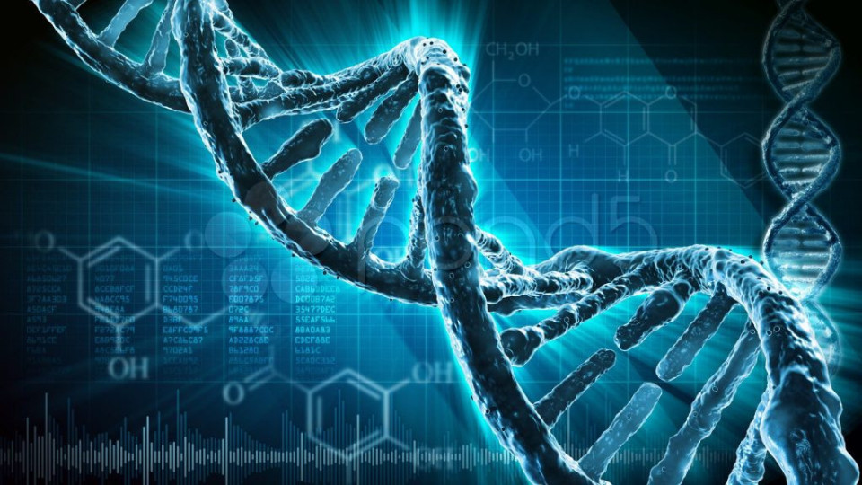 Сензация! Човешката ДНК пази стара тайна | StandartNews.com