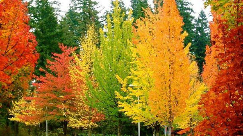Азарей: Есенното равноденствие - да си поискаме по-добра съдба | StandartNews.com