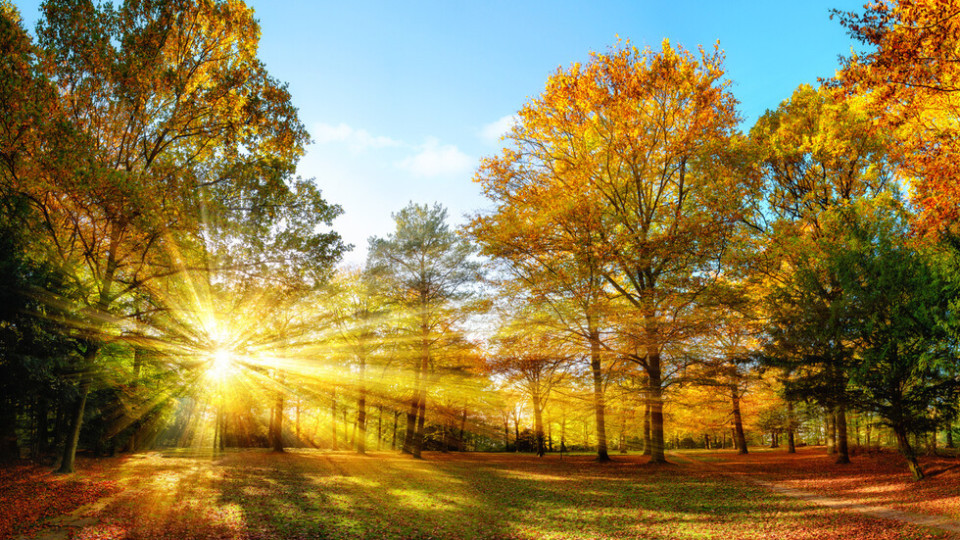 Златна есен! Топло и слънчево | StandartNews.com