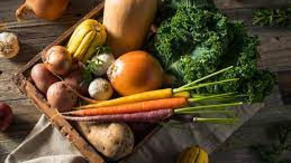 Суперхрани, които ще ни пазят от болести през есента | StandartNews.com