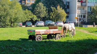 София забранява каруците, арестуват конете