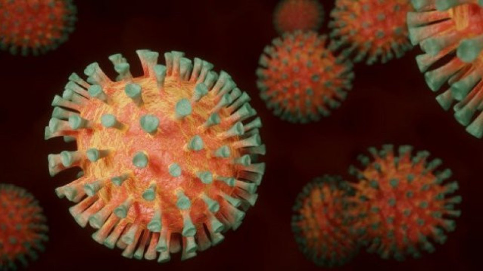 Учени с много важна новина за коронавируса | StandartNews.com