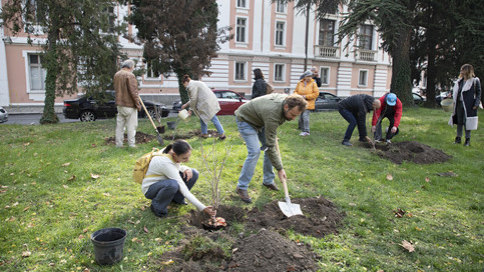Актьори посадиха „Вишнева градина“ в центъра на Стара Загора | StandartNews.com