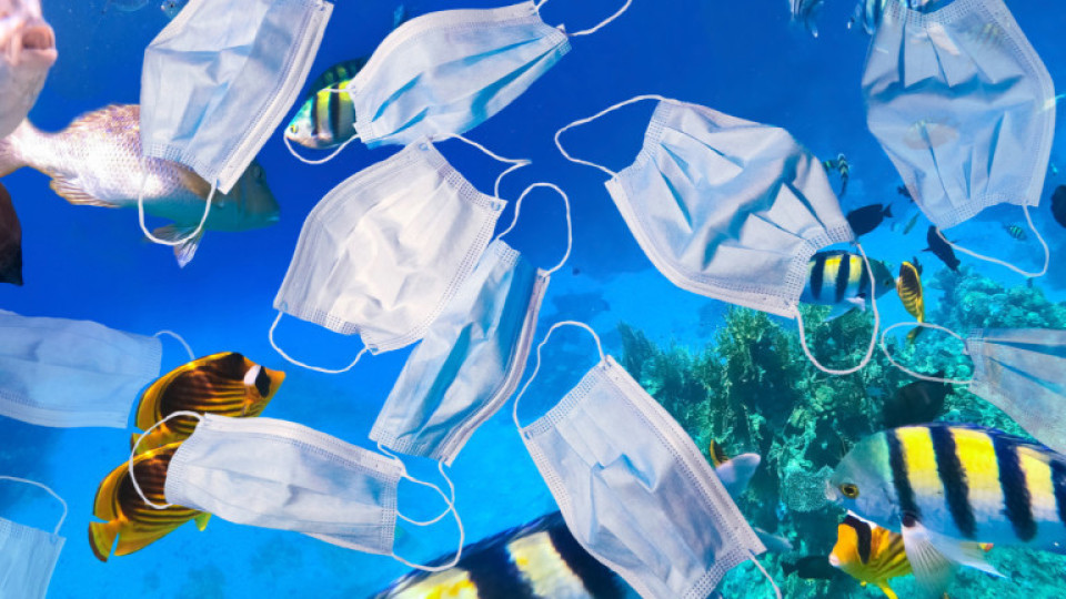 26 000 тона маски и ръкавици задръстват световния океан | StandartNews.com