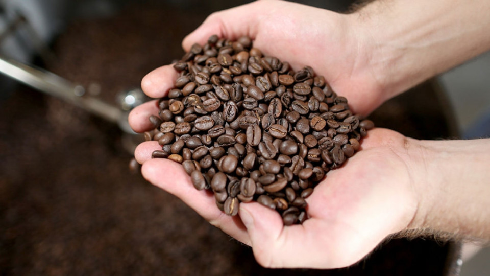 Цените на кафе арабика най-високи от 10 г. | StandartNews.com