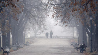 Мъгли до обяд, а после...