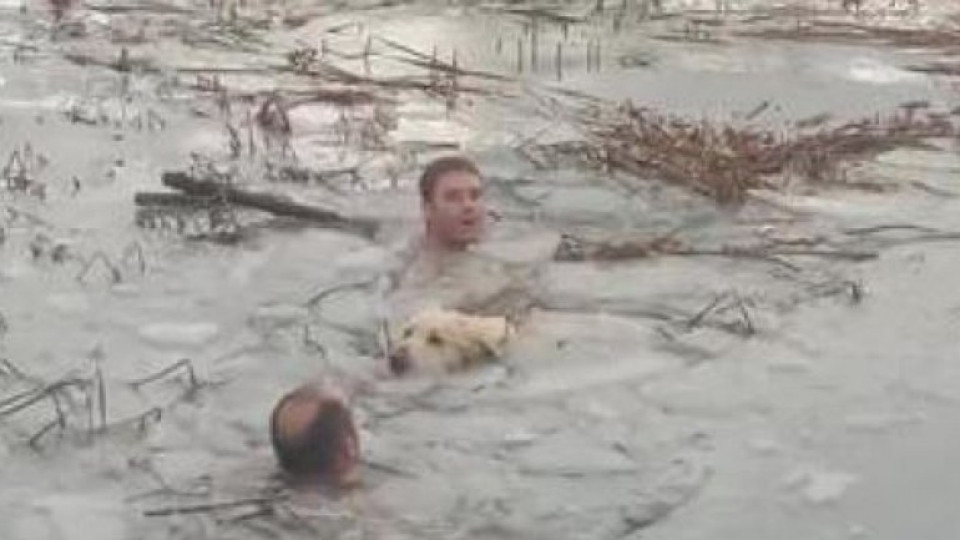 Гвардейци влязоха голи в ледено езеро, за да спасят куче | StandartNews.com