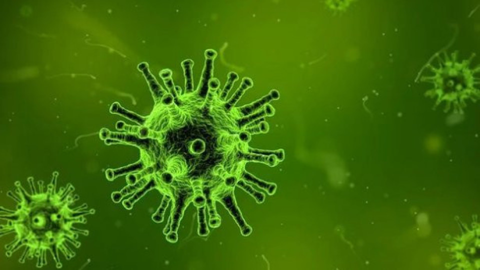Става ли Омикрон като сезонен грип? Новина от учените | StandartNews.com