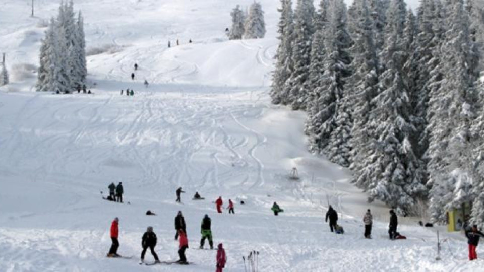 Отложиха старта на ски сезона на Витоша, каква е причината | StandartNews.com