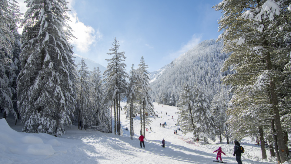 Защо Мальовица е старият нов ски хит? | StandartNews.com