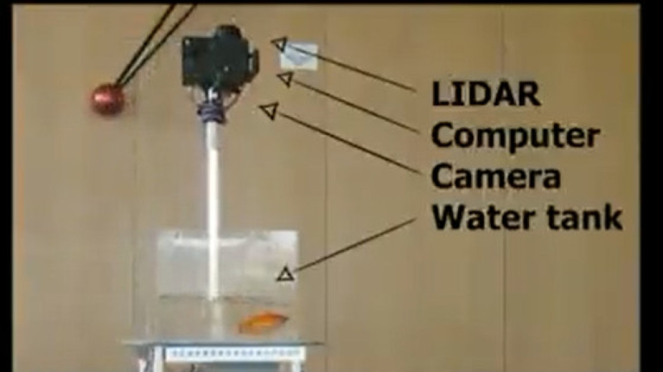 Създадоха аквариум, който позволява на рибките да се „разхождат" | StandartNews.com