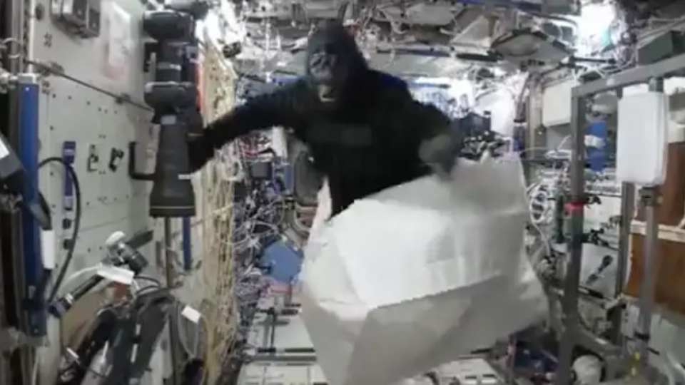 Астронавт се е появил на МКС с костюм на горила (видео) | StandartNews.com