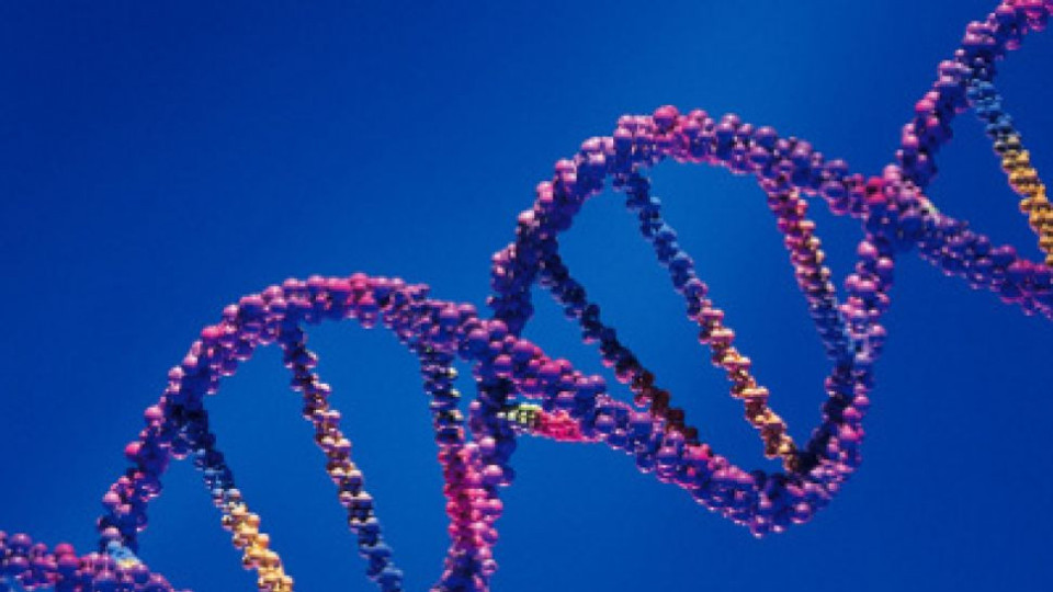 Това ДНК убива вируса! Откритието | StandartNews.com