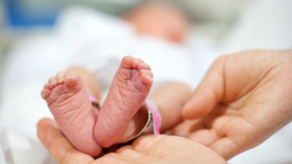 Психолог с ценен съвет към семействата на разменените бебета | StandartNews.com