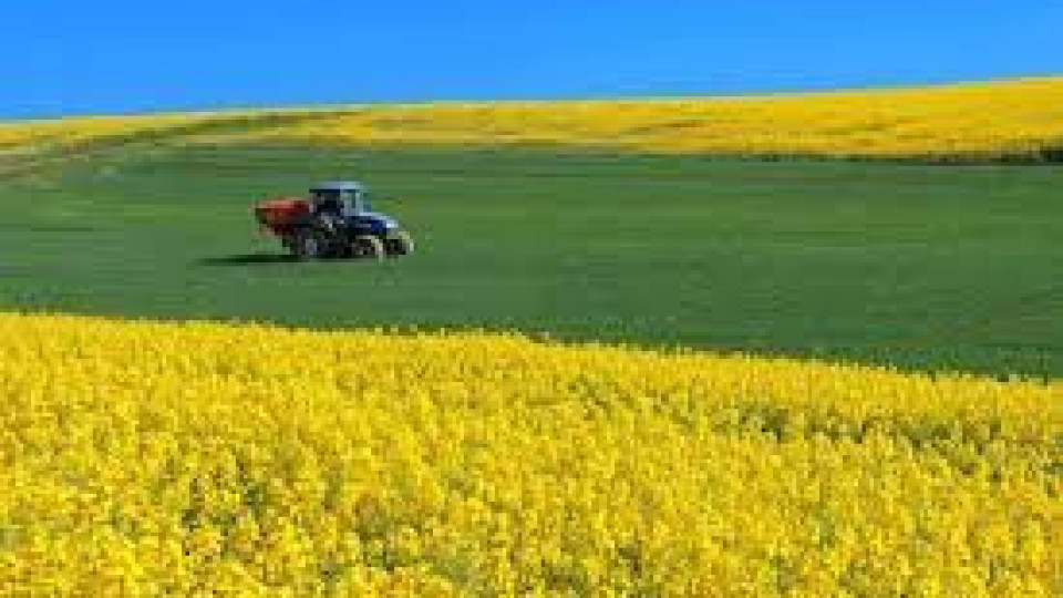 Общата селскостопанска политика на ЕС - какво предстои НА ЖИВО | StandartNews.com
