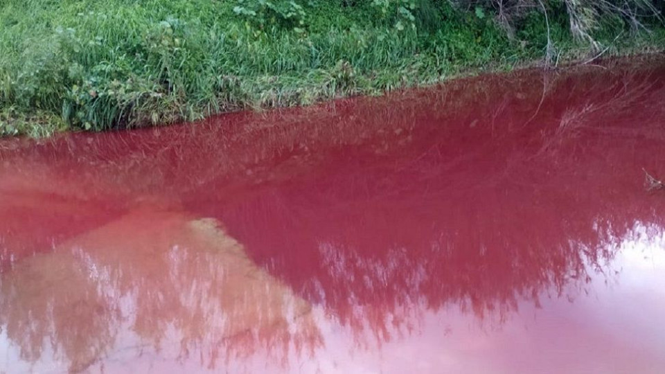 Зловещо! Река потече червена и замириса на кръв | StandartNews.com