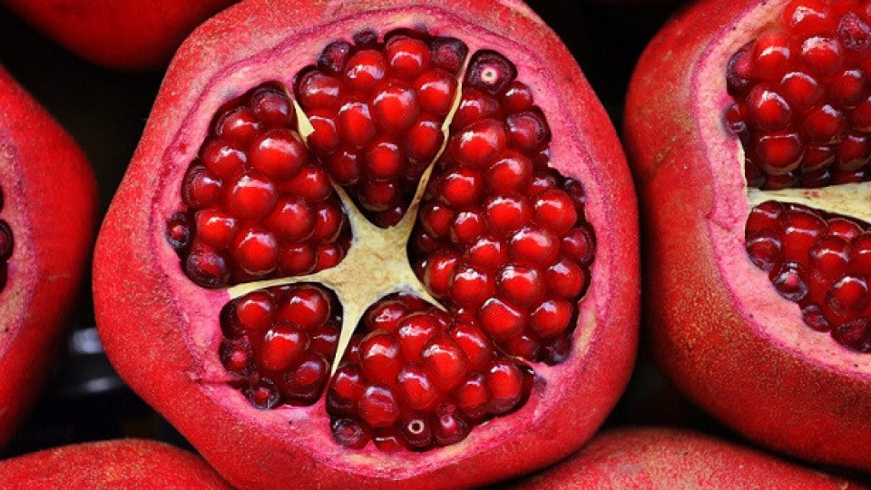 Кои са най-полезните плодове за зимата | StandartNews.com
