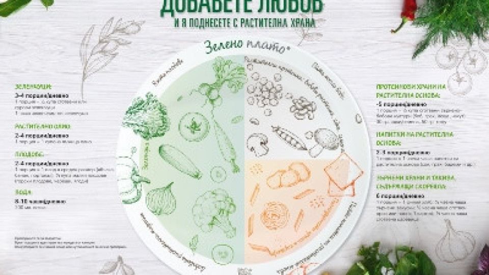 VeggiePlate – порция здраве, поднесена с грижа и за планетата  | StandartNews.com