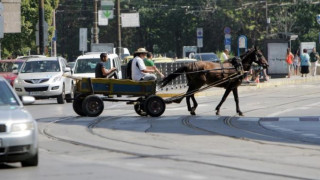 София забрани каруците, какво ще правят с "арестуваните" коне