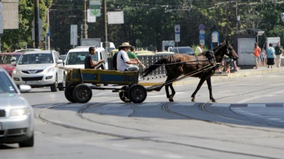 София забрани каруците, какво ще правят с "арестуваните" коне | StandartNews.com