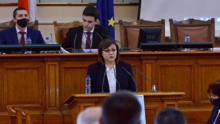 Нинова с решение за дървата за огрев. Ето как сваля цената им