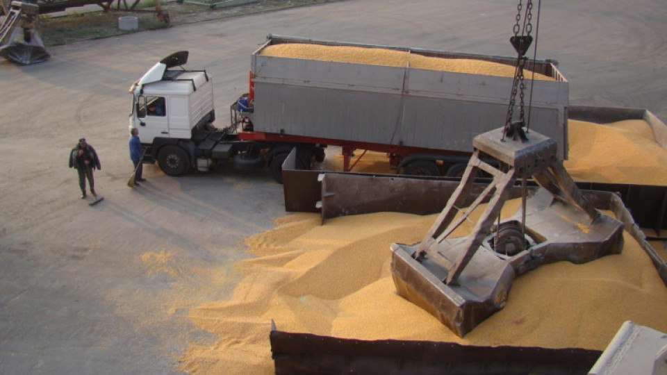 България иска забрана за износ на пшеница, ако се случи най-лошото | StandartNews.com