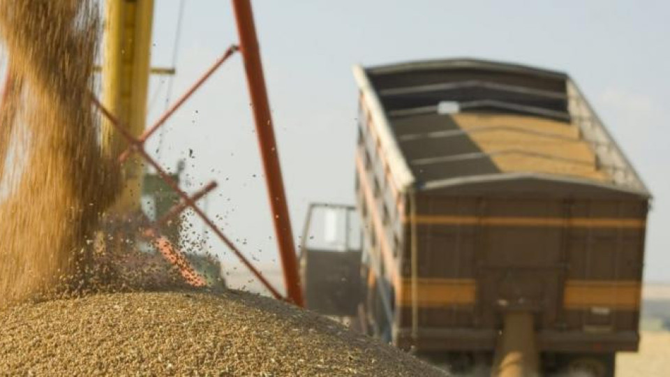 Фермери притеснени за житото си, очакват ниски цени от държавата | StandartNews.com