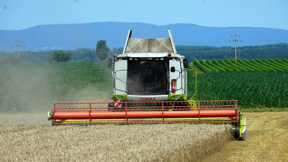 Кабинетът отпуска пари за зърно, производителите гневни | StandartNews.com