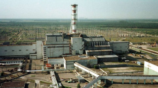 Вълци мутанти от Чернобил изумиха света! Откритието