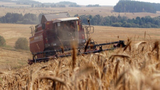 Русия забранява износа на зърно.  Чака ли се глад?