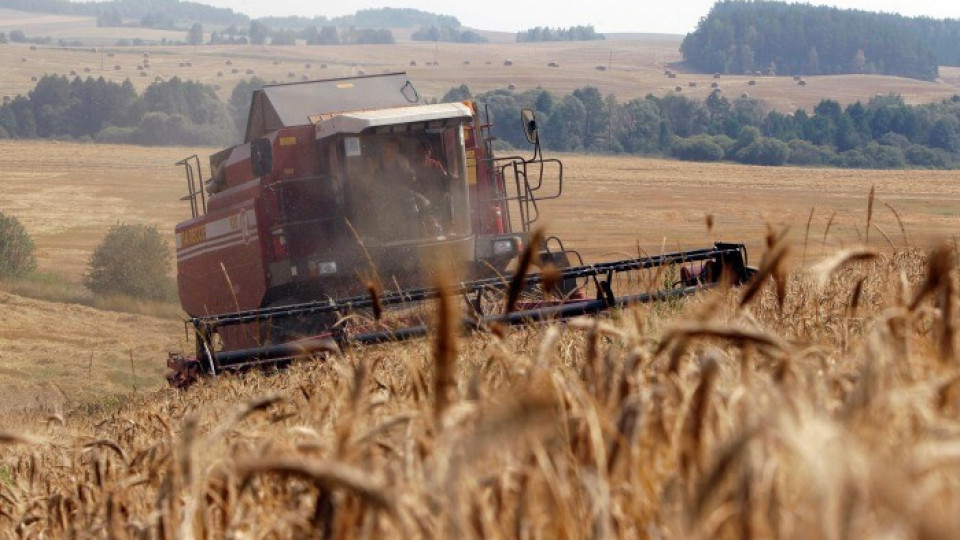 Русия забранява износа на зърно.  Чака ли се глад? | StandartNews.com