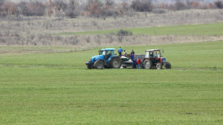 Фермерите чакат подкрепа за ток и торове от ЕС