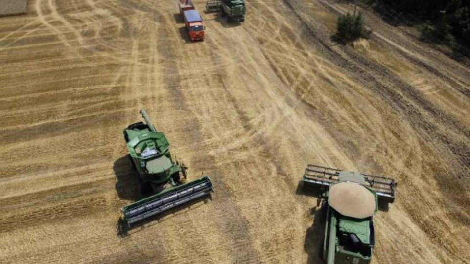 Цените на житото скочиха до небето,  фермерите без печалба | StandartNews.com
