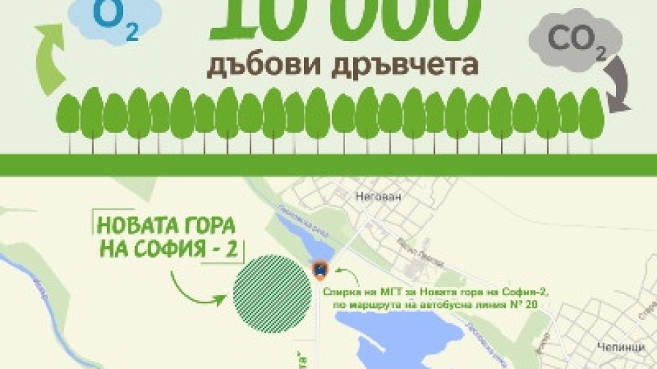 Нестле с нова кампания срещу климатичните промени. Засажда 10 000 дръвчета! | StandartNews.com