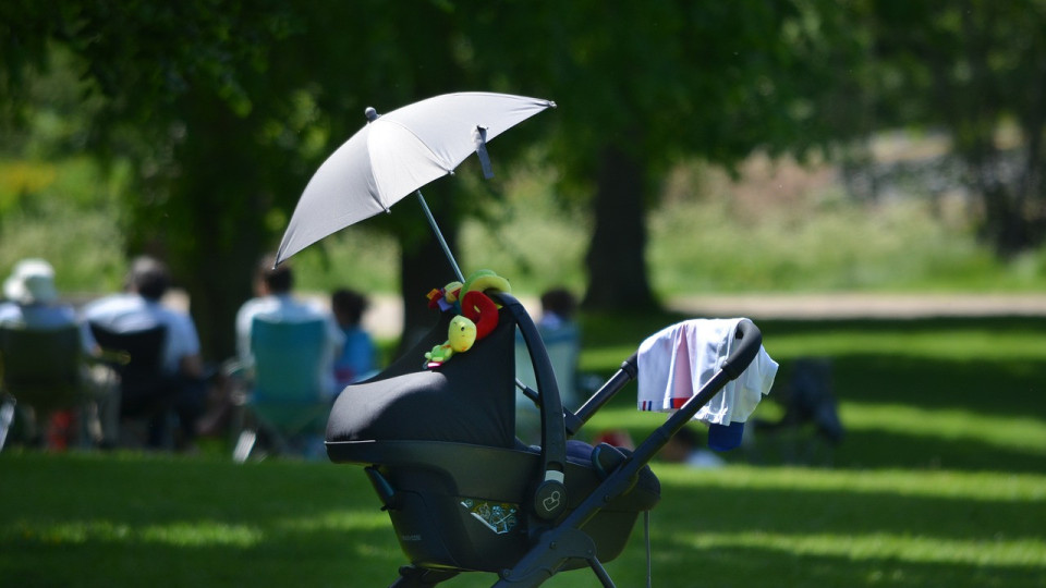Какви видове бебешки колички има? | StandartNews.com