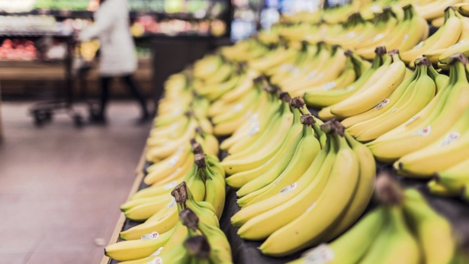 Рикошет: Войната в Украйна съсипа банановата индустрия в Еквадор | StandartNews.com