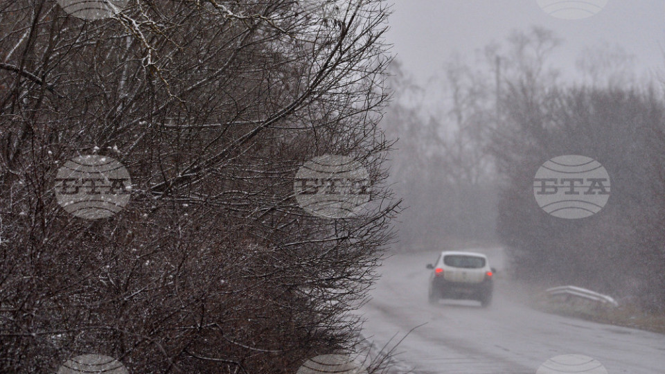 Чудо! Сняг заваля в Анталия | StandartNews.com